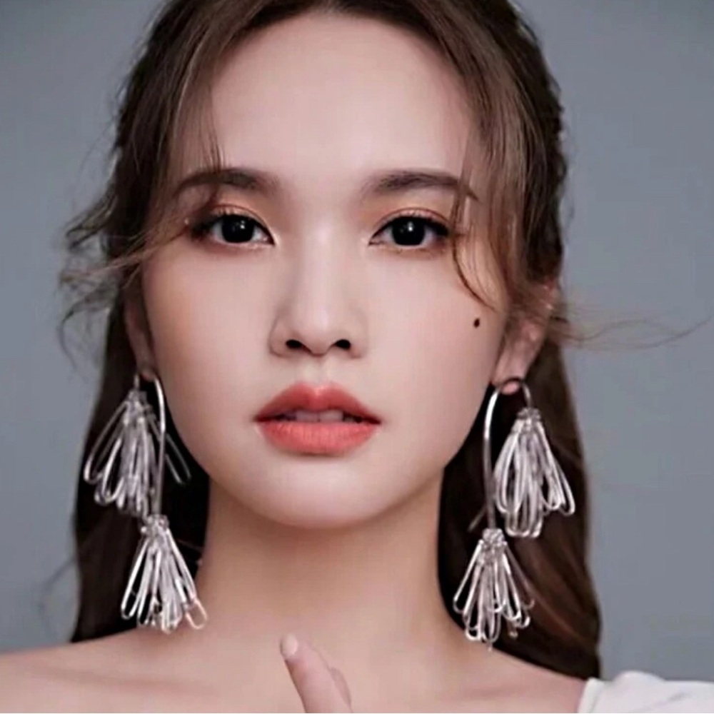 Silver Drop Earrings